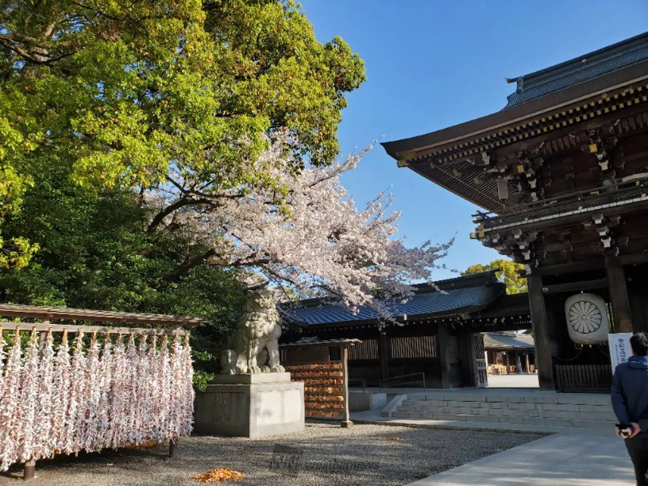 寒川神社の写真 5