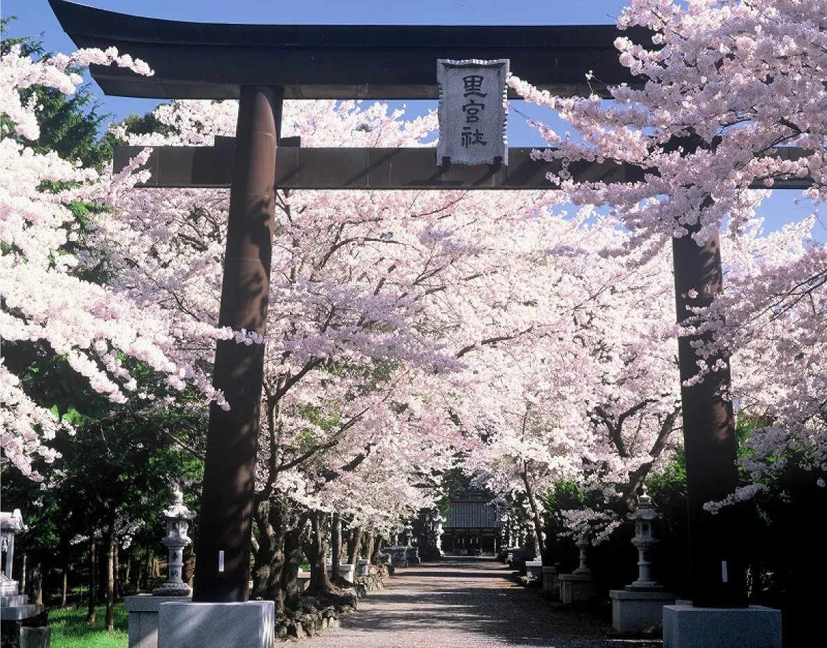 富士御室浅間神社