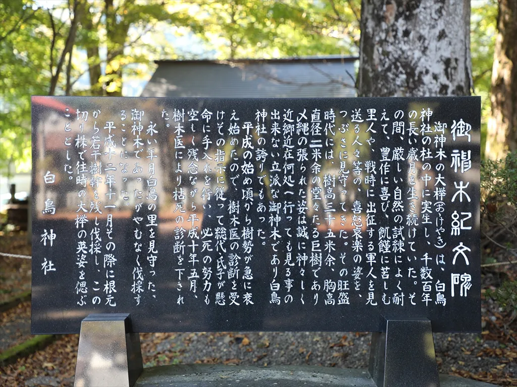 白鳥神社の写真 3