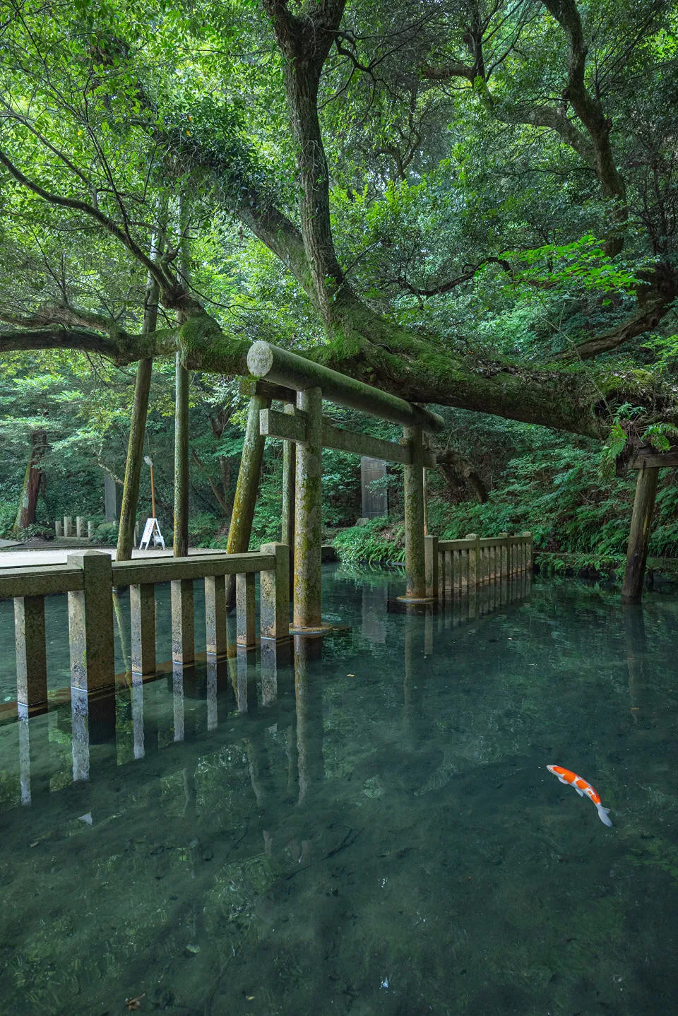 鹿島神宮の写真 3